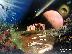 PoulaTo: Spray Paint Art "Reef Parthenonas" by YannisArt